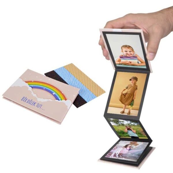Dilek Tut - Akordiyon Fotoğraf Albümü