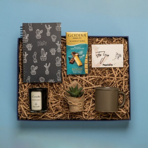 Kaktüs Bahçesi Hediye Kutusu