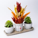 Trio Love Saksıda Tasarım Çiçek ve Sukulentler - Görsel 2