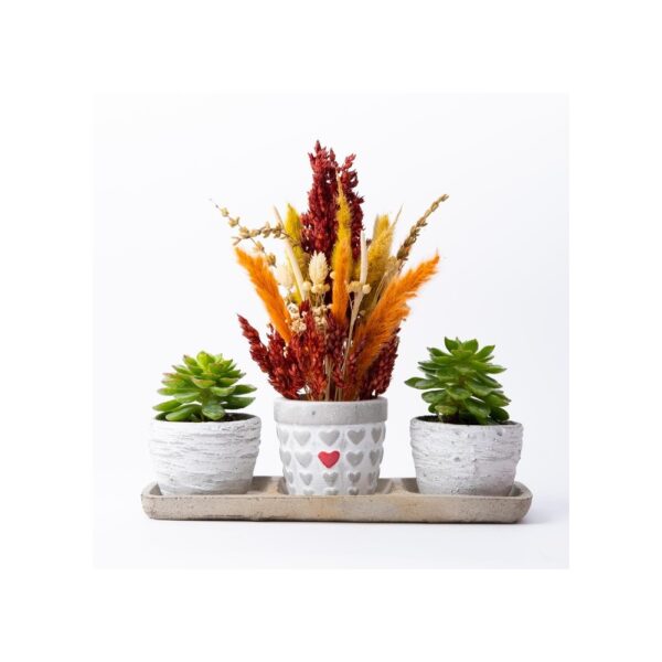 Trio Love Saksıda Tasarım Çiçek ve Sukulentler