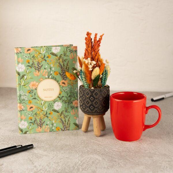 Kırmızı Kupalı Çiçek Bahçesi Hediye Seti